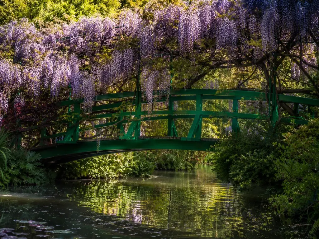 Pont japonais et glycines du jardin d&rsquo;eau de Monet à Giverny
